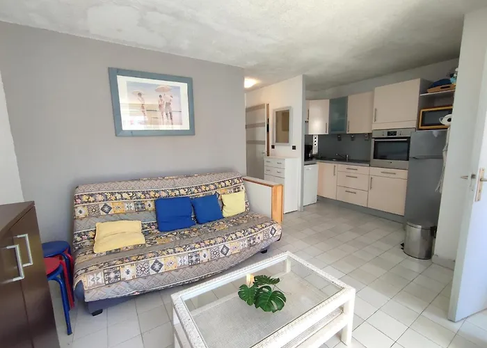 公寓 Aquaplage Joli Rdc Piscine 1 Ere Ligne Richelieu Cap D'agde *